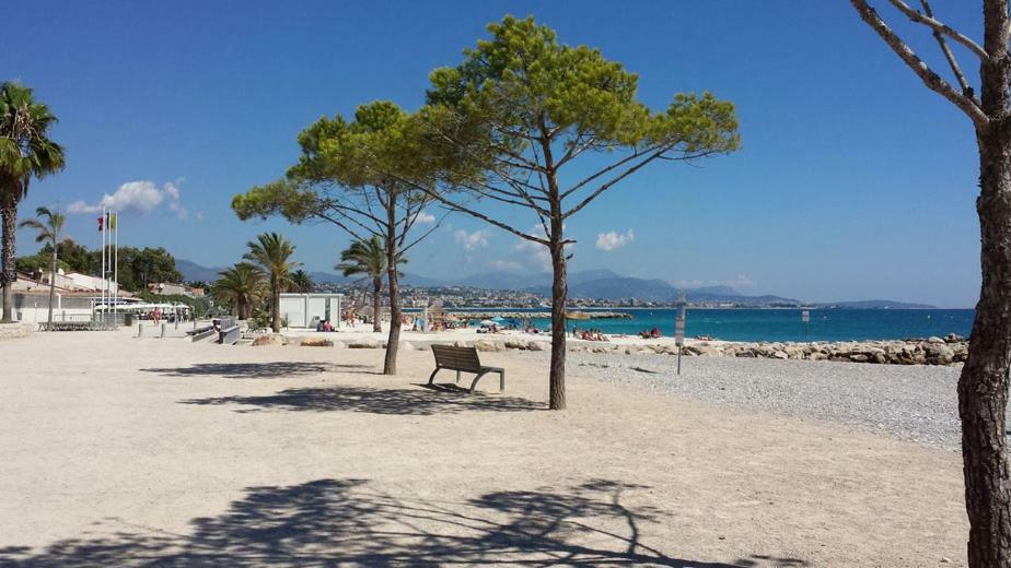 La Studette Marina 06 * Villeneuve-Loubet